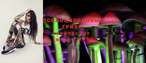 ПСИЛОЦИБИНОВЫЕ ГРИБЫ Балабаново