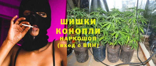 ПСИЛОЦИБИНОВЫЕ ГРИБЫ Балабаново