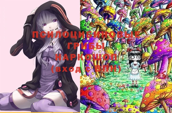 ПСИЛОЦИБИНОВЫЕ ГРИБЫ Балабаново