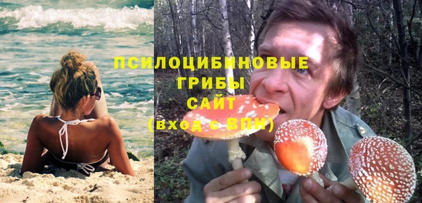 ПСИЛОЦИБИНОВЫЕ ГРИБЫ Балабаново