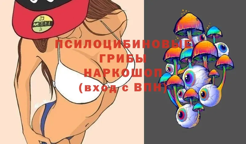 Галлюциногенные грибы MAGIC MUSHROOMS  Верхняя Пышма 