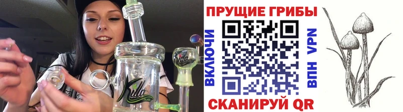 Псилоцибиновые грибы Cubensis  это какой сайт  Верхняя Пышма  дарнет шоп 
