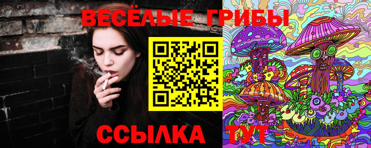 Галлюциногенные грибы Psilocybe Верхняя Пышма